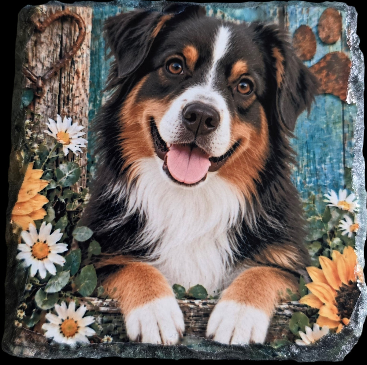 Wolf Moon Designs square slate coaster featuring a tri-color Australian Shepherd surrounded by daisies and sunflowers