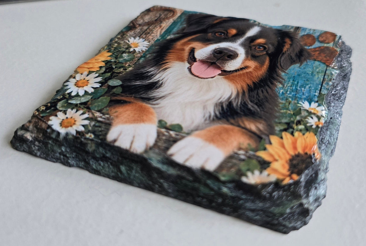 Wolf Moon Designs square slate coaster featuring a tri-color Australian Shepherd surrounded by daisies and sunflowers