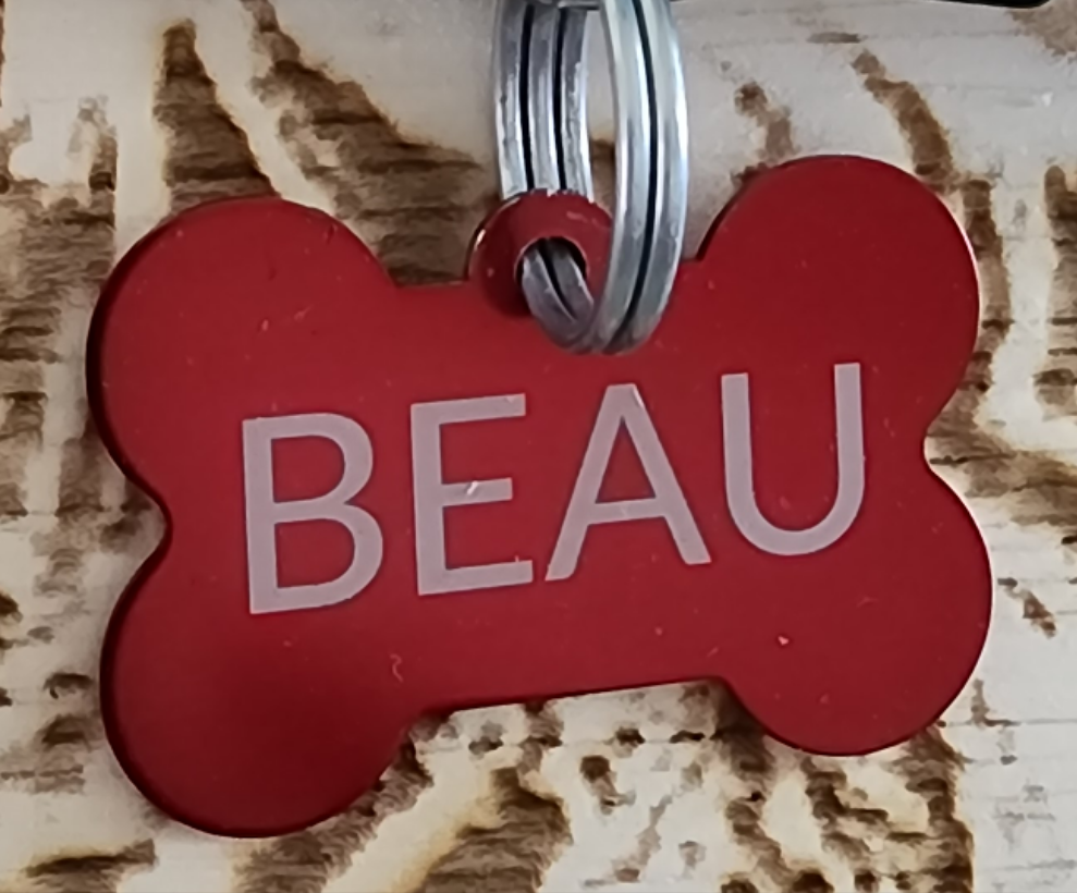 Personalized Pet Tag - bone shaped for dogs!